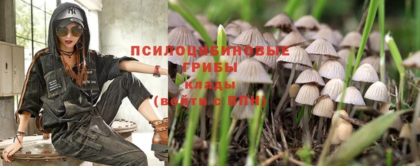 спайс Новозыбков