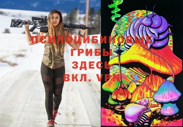 спайс Новозыбков