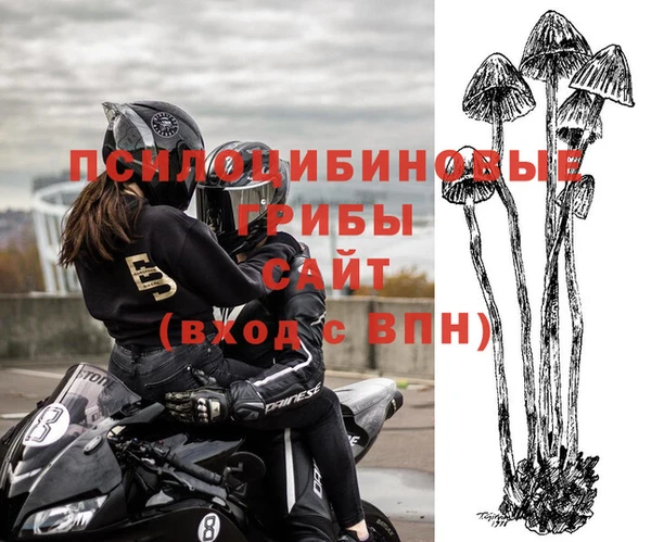 не бодяженный Новодвинск