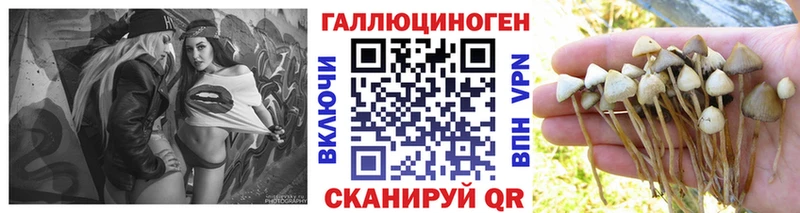 Галлюциногенные грибы прущие грибы  где можно купить   mega ONION  Холм 